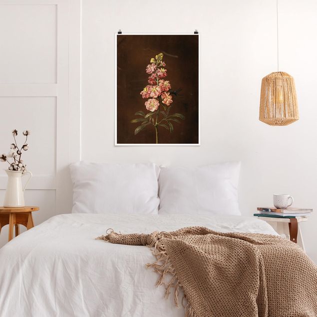 Poster mit Blumen Barbara Regina Dietzsch - Eine rosa Garten-Levkkoje