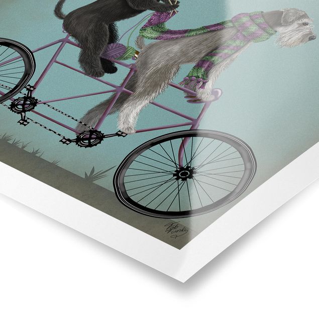 Wandbilder Modern Radtour - Schnauzer Tandem