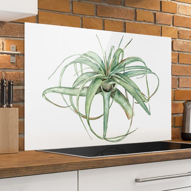 Küche Dekoration Luftpflanze Aquarell I