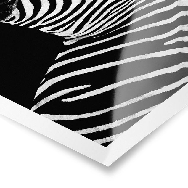 Wandbilder Schwarz-Weiß Zebra Safari Art