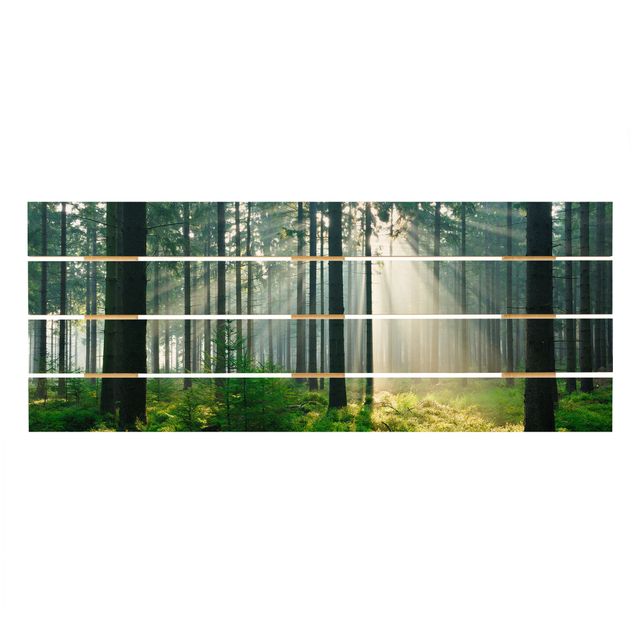 Wandbild Holz Enlightened Forest