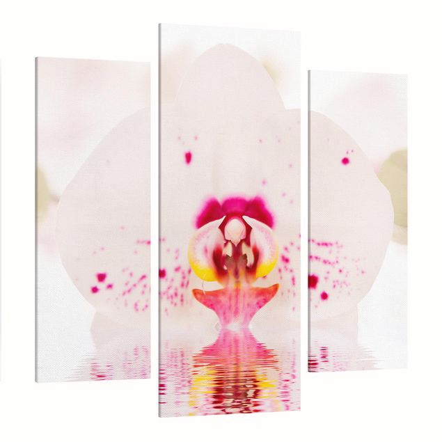 Blumenbilder auf Leinwand Gepunktete Orchidee auf Wasser