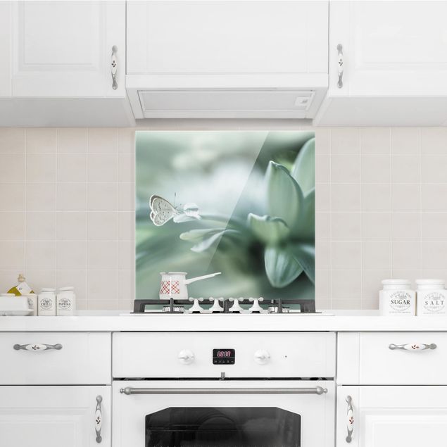 Glasrückwand Küche Blumen Schmetterling und Tautropfen in Pastellgrün