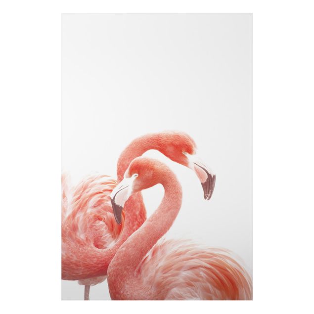 Wandbilder Federn Zwei Flamingos