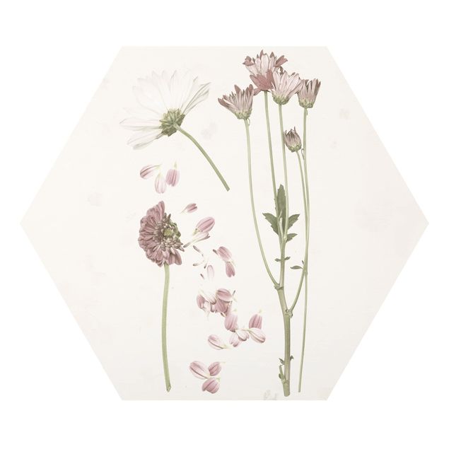 Foto auf Hartschaumplatte Herbarium in rosa II