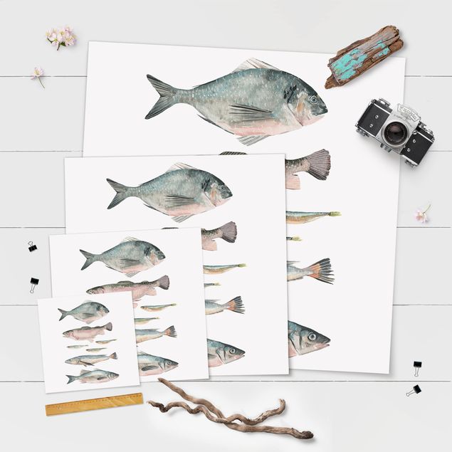 Poster kaufen Sieben Fische in Aquarell II