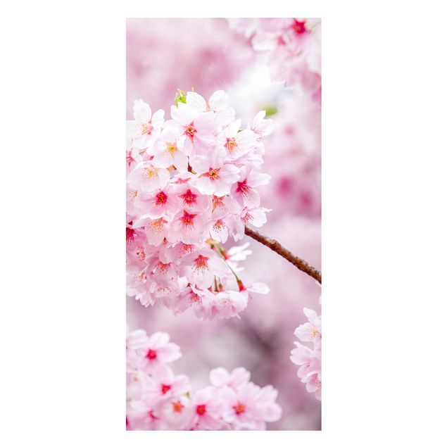 Wanddeko Küche Japanische Kirschblüten