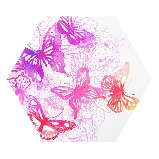 Forex Bilder Schmetterlingstraum