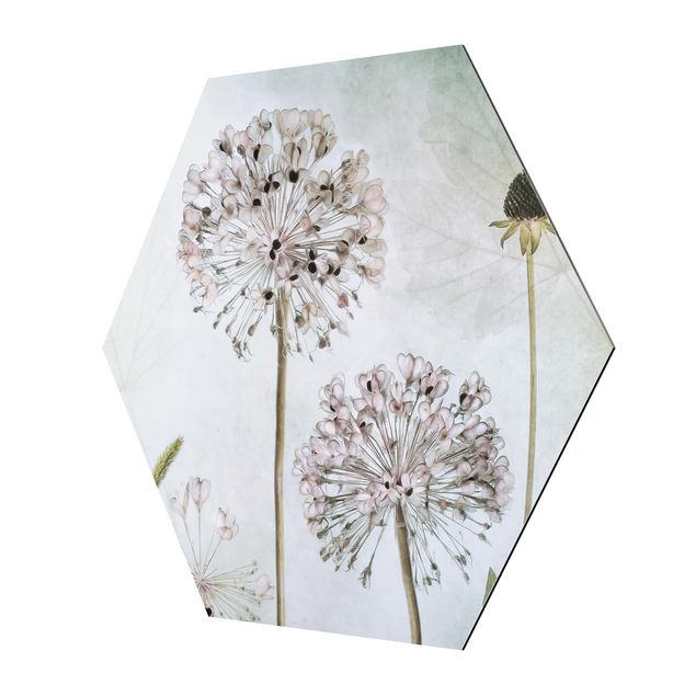 Bilder Hexagon Lauchblüten in Pastell