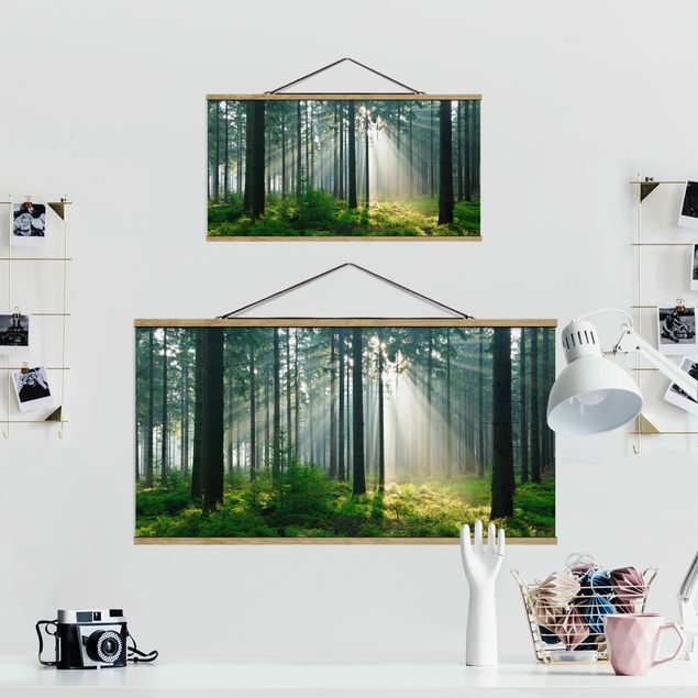 Wandbilder Grün Enlightened Forest
