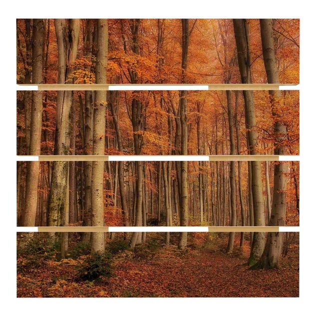 Bilder auf Holz Herbstspaziergang