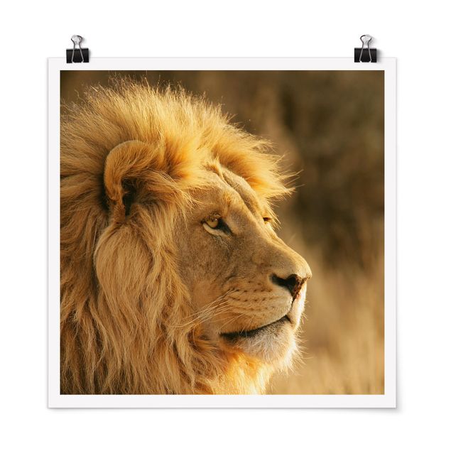 Poster Tiere Löwenkönig