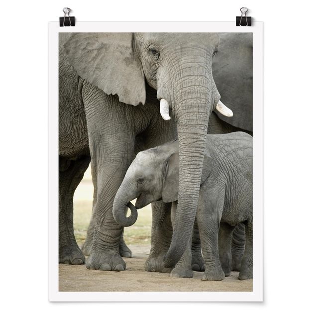 Wandbilder Afrika Elefantenliebe