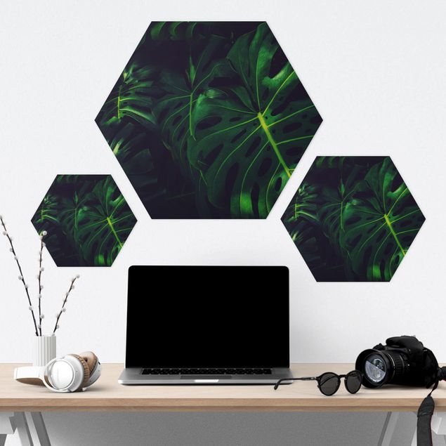 Hexagon Bild Alu-Dibond - Monsteradschungel
