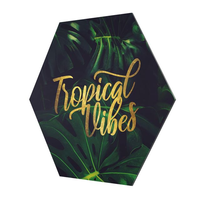 schöne Bilder Dschungel - Tropical Vibes