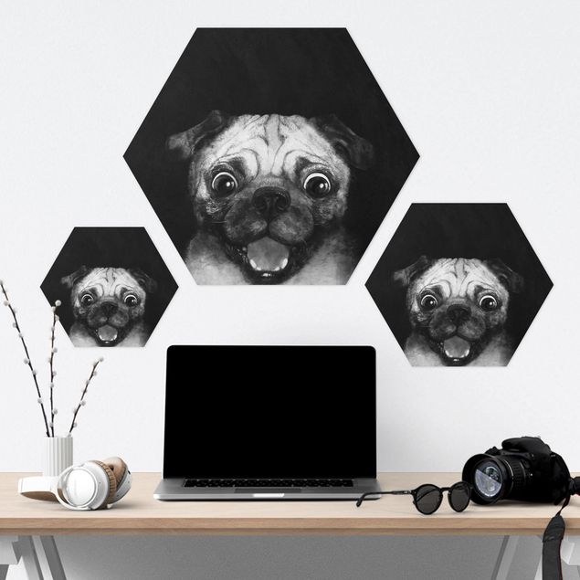 schöne Bilder Illustration Hund Mops Malerei auf Schwarz Weiß