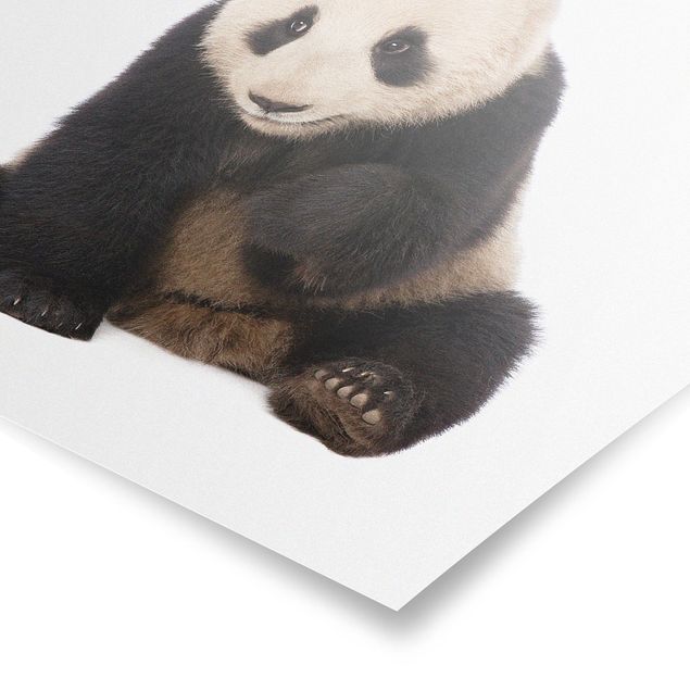Wandbilder Modern Panda Tatzen
