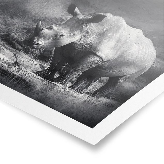 Wandbilder Schwarz-Weiß Lonesome Rhinoceros