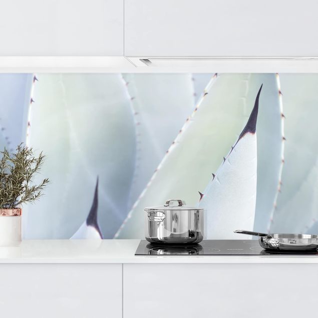 Küche Dekoration Agavenblätter