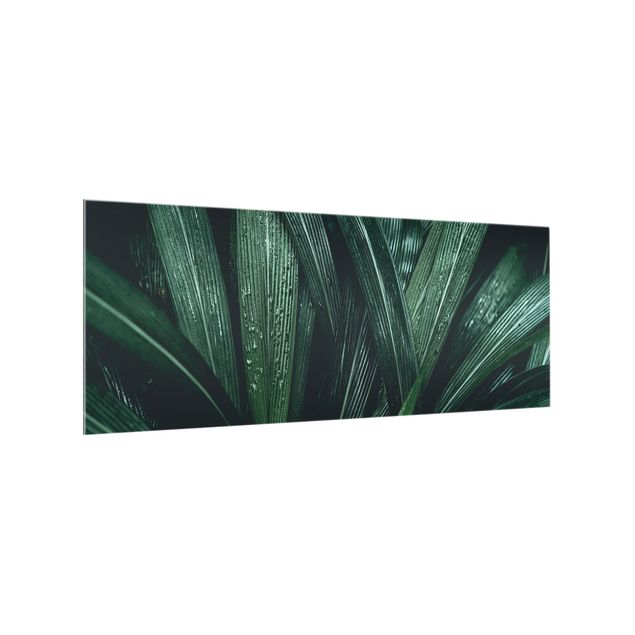 Glasrückwand Küche Grüne Palmenblätter
