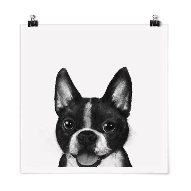 Kunstkopie Poster Illustration Hund Boston Schwarz Weiß Malerei