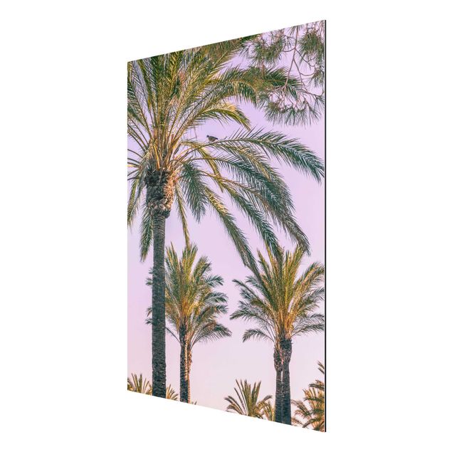 Wandbilder Floral Palmen im Sonnenuntergang