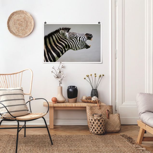 Tierposter Brüllendes Zebra