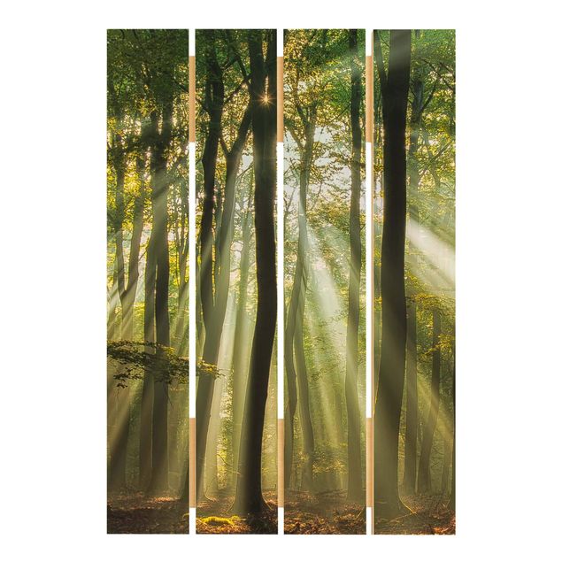 Holzbilder Sonnentag im Wald