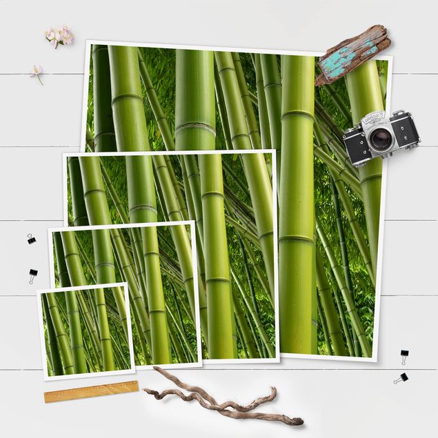 Wandbilder Modern Bamboo Trees