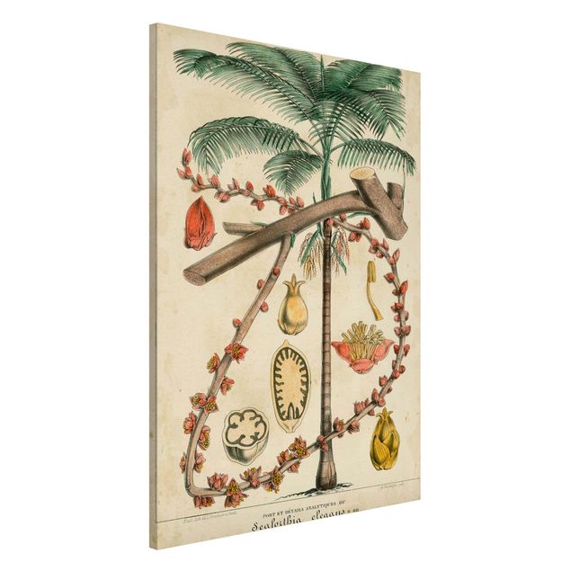 Küchen Deko Vintage Lehrtafel Exotische palmen II