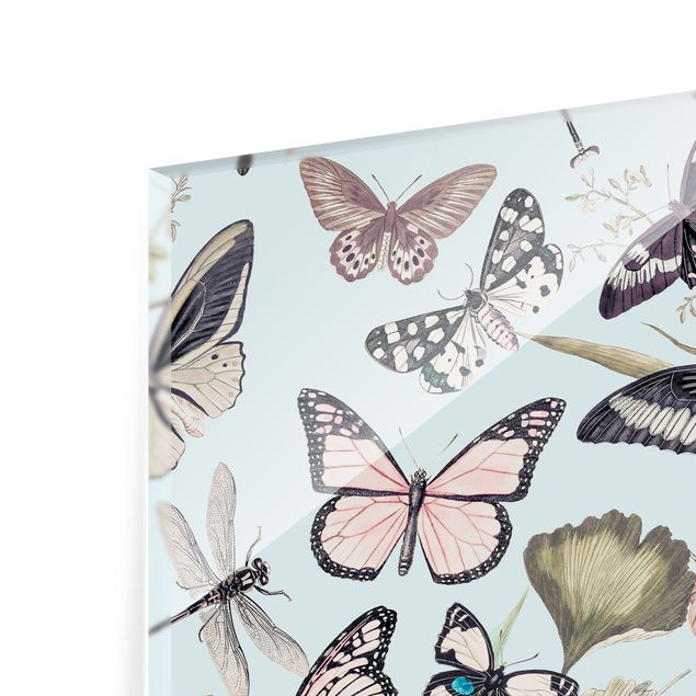 Spritzschutz Glas - Vintage Collage - Schmetterlinge und Libellen - Quadrat 1:1