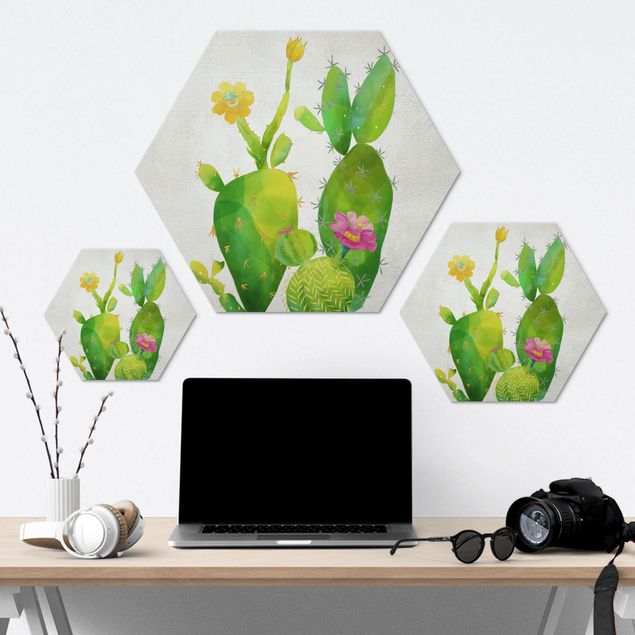 Hexagon Bilder Kaktusfamilie rosa gelb
