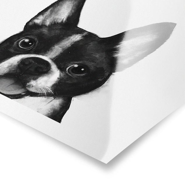Wandbilder Schwarz-Weiß Illustration Hund Boston Schwarz Weiß Malerei