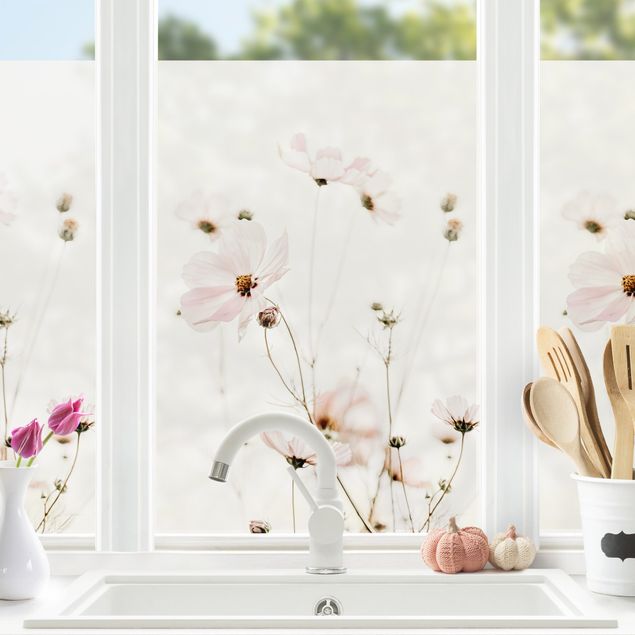 Blumen Fensterbilder Cosmea in zarten Cremetönen