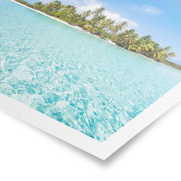 Poster Blumen Crystal Clear Water