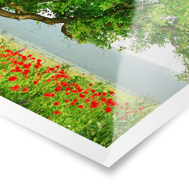 Poster mit Blumen Sommerwiese