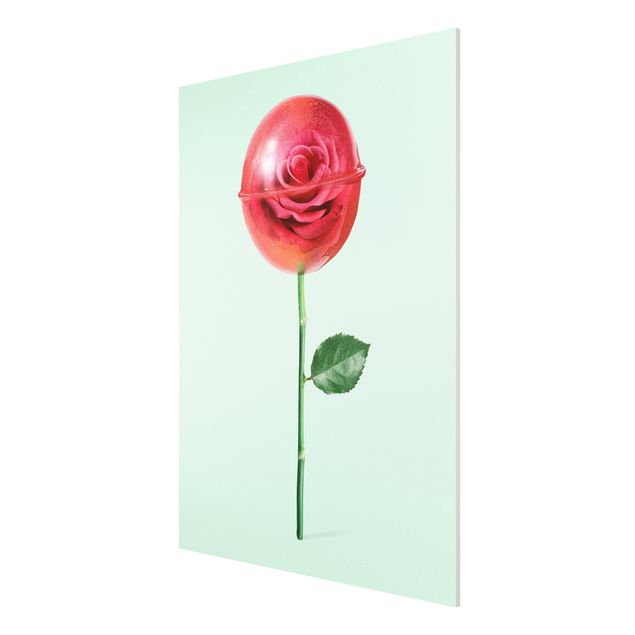 Wandbilder Blumen Rose mit Lollipop