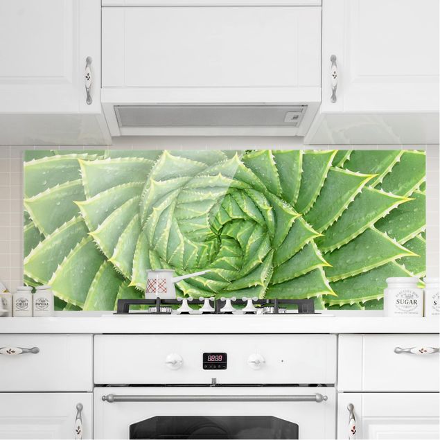 Küche Dekoration Spiral Aloe