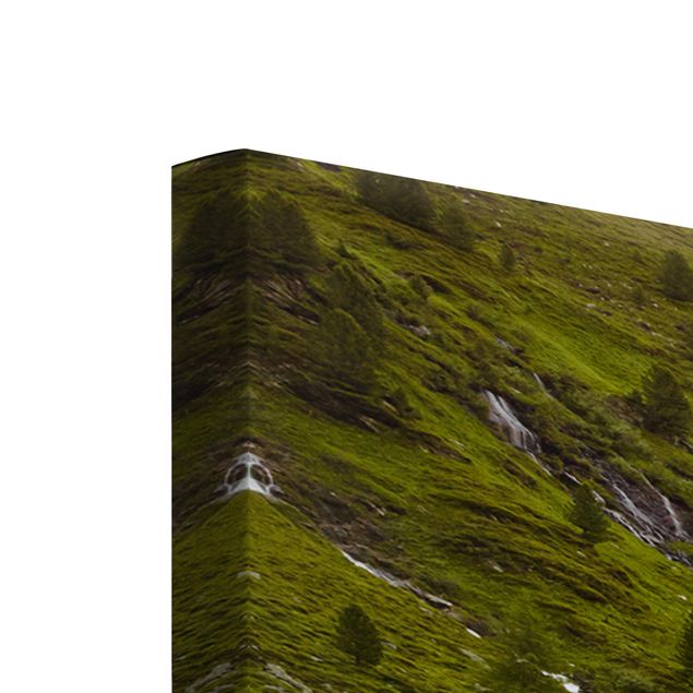 Wandbilder Modern Alpenwiese Tirol