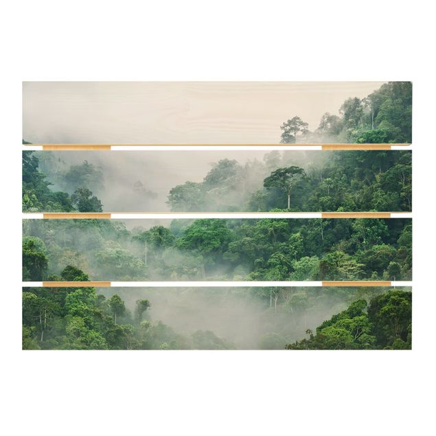 schöne Bilder Dschungel im Nebel