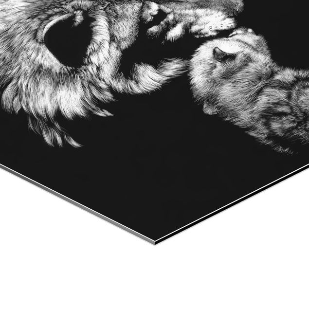 Wandbilder Schwarz-Weiß Wildtiere vor Schwarz Set II