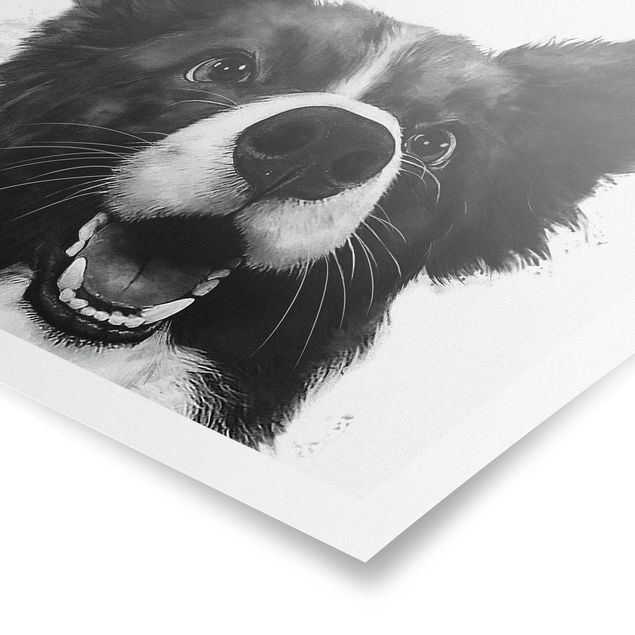 Poster Tiere Illustration Hund Border Collie Schwarz Weiß Malerei