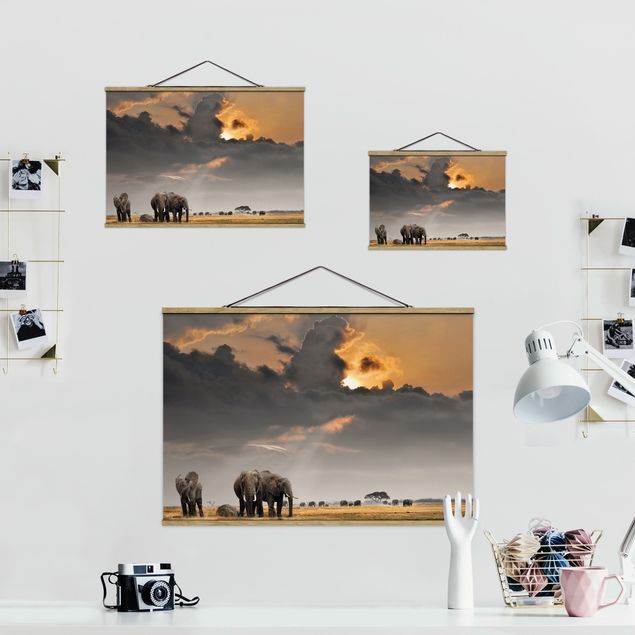 Wandbilder Modern Elefanten der Savanne