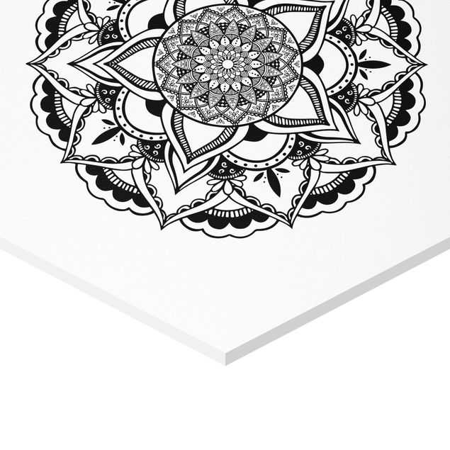 schöne Bilder Mandala Blüte Sonne Illustration Set Schwarz Weiß