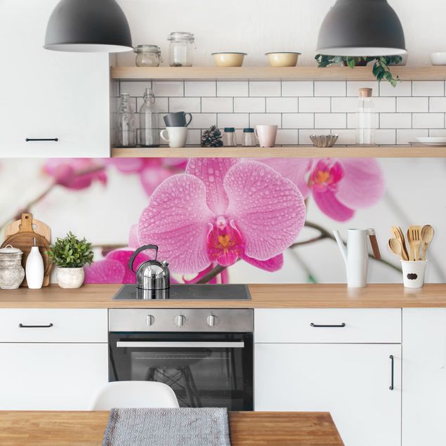 Glasrückwand Küche Nahaufnahme Orchidee