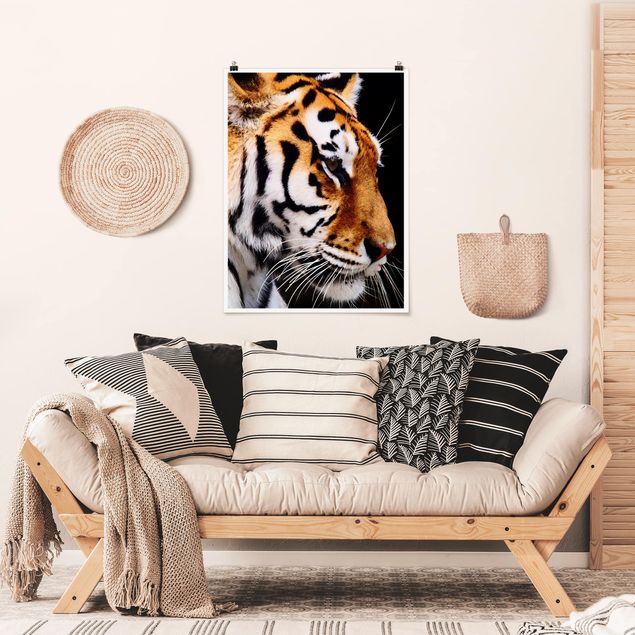 Tierposter Tiger Schönheit