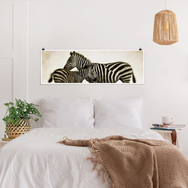 Wandbilder Zebras Zebrapaar