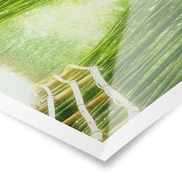 Poster Naturbilder Bamboo Way