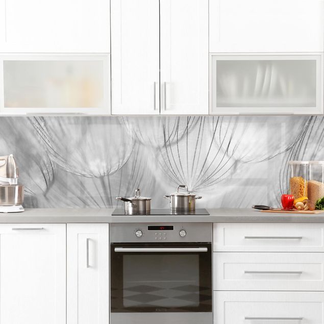Glasrückwand Küche Pusteblumen Makroaufnahme in schwarz weiß