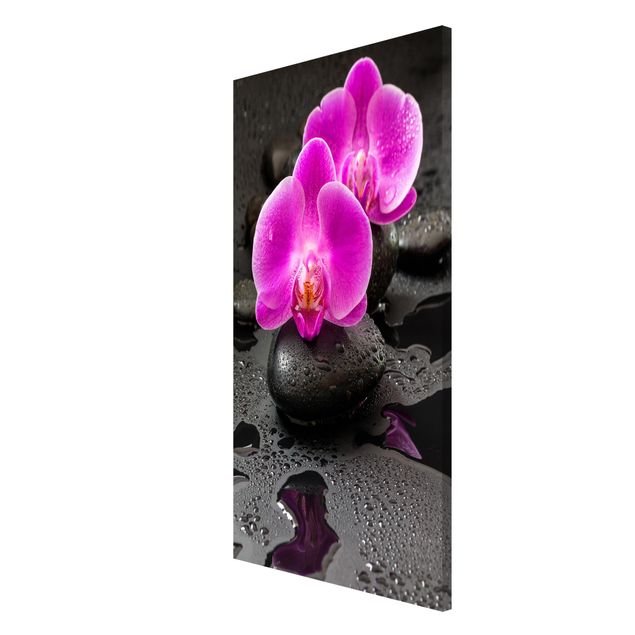 Magnettafeln Blumen Pinke Orchideenblüten auf Steinen mit Tropfen